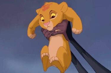 Les fans du Roi Lion sont incrédules alors qu'ils apprennent ce que signifient réellement les paroles de Circle of Life