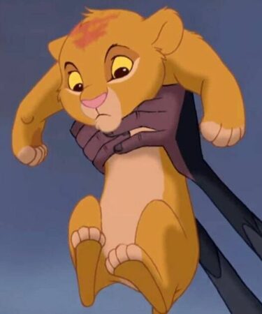 Les fans du Roi Lion sont incrédules alors qu'ils apprennent ce que signifient réellement les paroles de Circle of Life