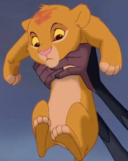 Les fans du Roi Lion sont incrédules alors qu'ils apprennent ce que signifient réellement les paroles de Circle of Life
