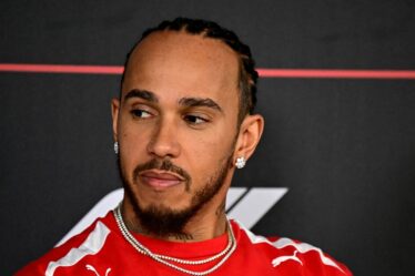La star la plus riche de la F1 vaut 400 fois plus que Lewis Hamilton et époustoufle Lawrence Stroll