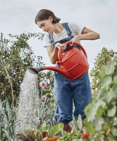 Les jardiniers peuvent économiser jusqu'à 71 % sur les lots de jardins printaniers lors d'une vente flash de 8 jours
