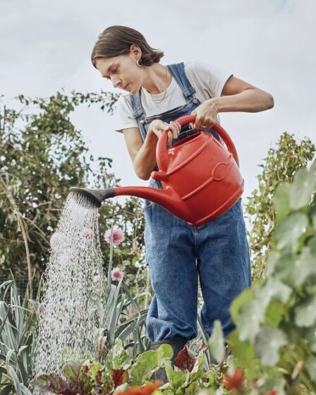 Les jardiniers peuvent économiser jusqu'à 71 % sur les lots de jardins printaniers lors d'une vente flash de 8 jours