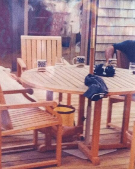 De sombres secrets derrière l’image récemment découverte d’Andrew, Mandelson et Jeffrey Epstein