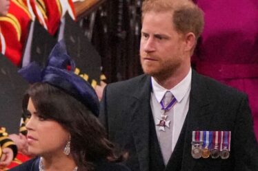 Famille royale EN DIRECT : "Andrew et ces 9 membres de la famille royale devraient être retirés de la ligne de succession"