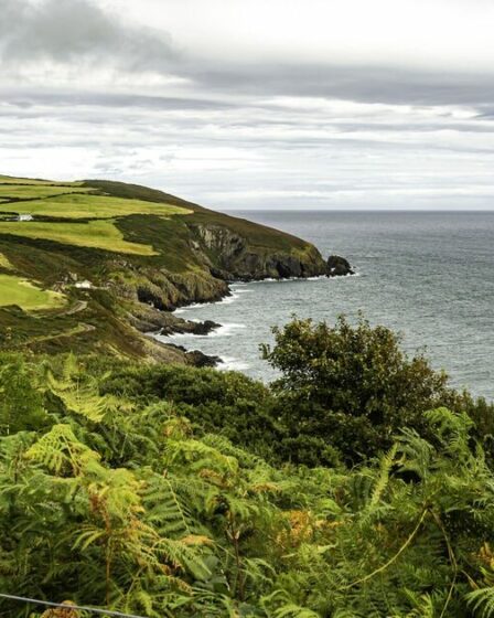La magnifique île britannique avec une faune rare et des côtes « de rêve »