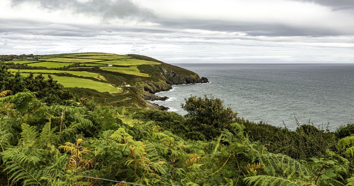 La magnifique île britannique avec une faune rare et des côtes « de rêve »