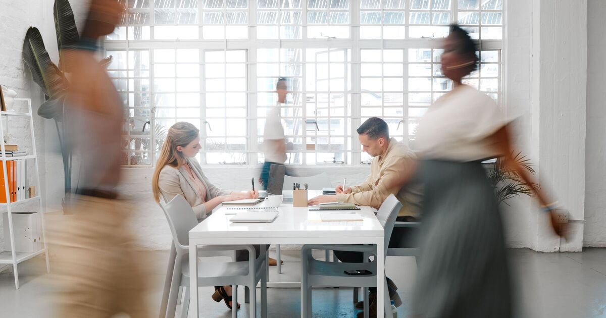 L’agence britannique à l’origine d’énormes publicités se lance dans l’administration – en activité depuis 12 ans