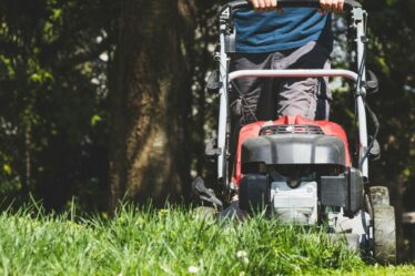Les jardiniers sont invités à éviter une amende de 5 000 £ pour avoir tondu la pelouse au mauvais moment samedi et dimanche