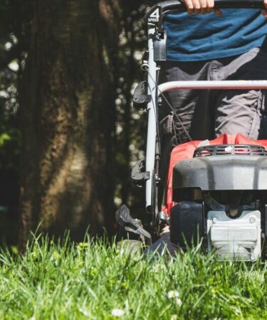 Les jardiniers sont invités à éviter une amende de 5 000 £ pour avoir tondu la pelouse au mauvais moment samedi et dimanche