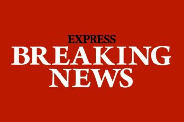 Mort de Matt Clark : la star de Retour vers le futur décède après avoir « souffert de complications chirurgicales »