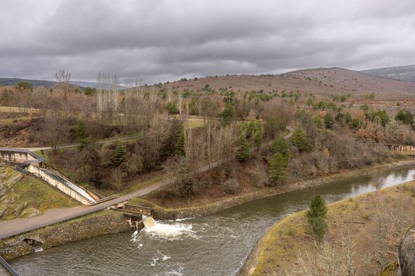 Vue panoramique sur le réservoir Cuerda del Pozo entouré de forêts de pins, Soria, Espagne.