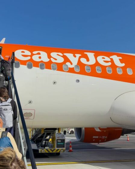 Les passagers d'EasyJet ont été informés "vous n'embarquerez pas et ne manquerez pas votre vol" dans une nouvelle alerte de "retard"