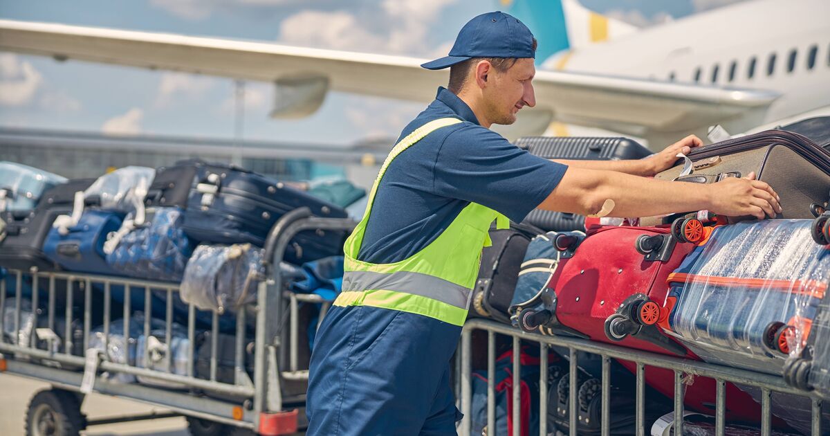 "Je suis bagagiste et un type de valise est moins susceptible d'être endommagé"