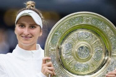 Le champion de Wimbledon publie une déclaration sur un "incident de dopage" - "J'ai atteint un point de rupture"
