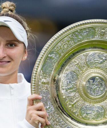 Le champion de Wimbledon publie une déclaration sur un "incident de dopage" - "J'ai atteint un point de rupture"