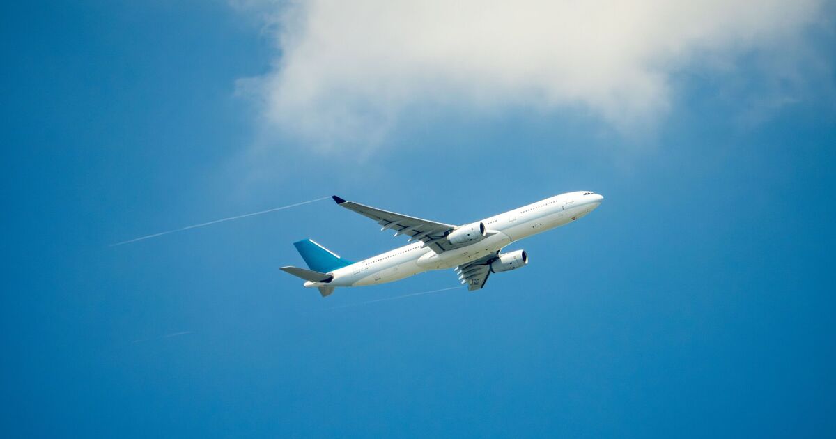 Les 3 grandes compagnies aériennes plongées dans l'administration - tous les vols annulés