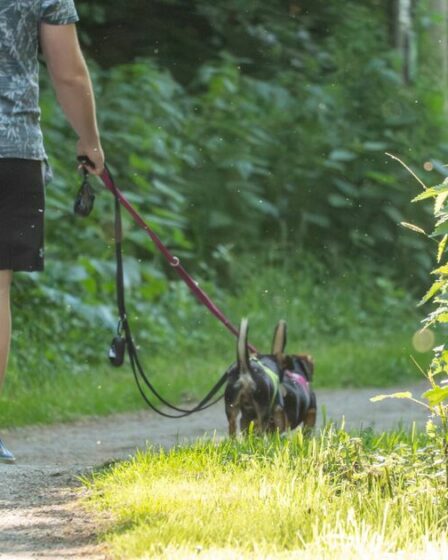 Le changement de la loi sur les chiens est désormais en vigueur et « étendu aux sentiers et aux routes »