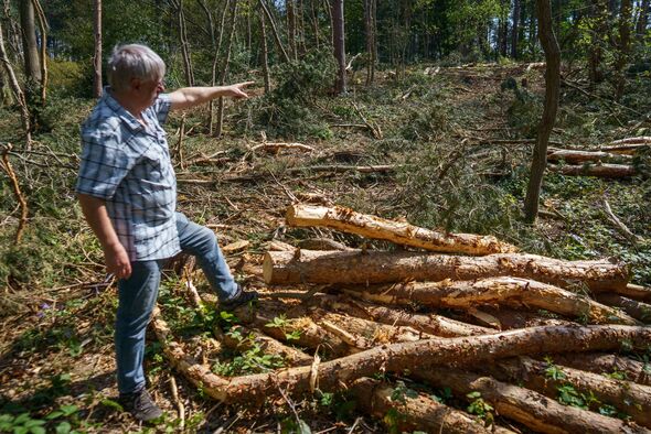 John Flowers souligne la destruction