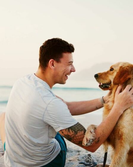 Dates clés pour les propriétaires de chiens alors que le Royaume-Uni interdit l'interdiction de 600 plages