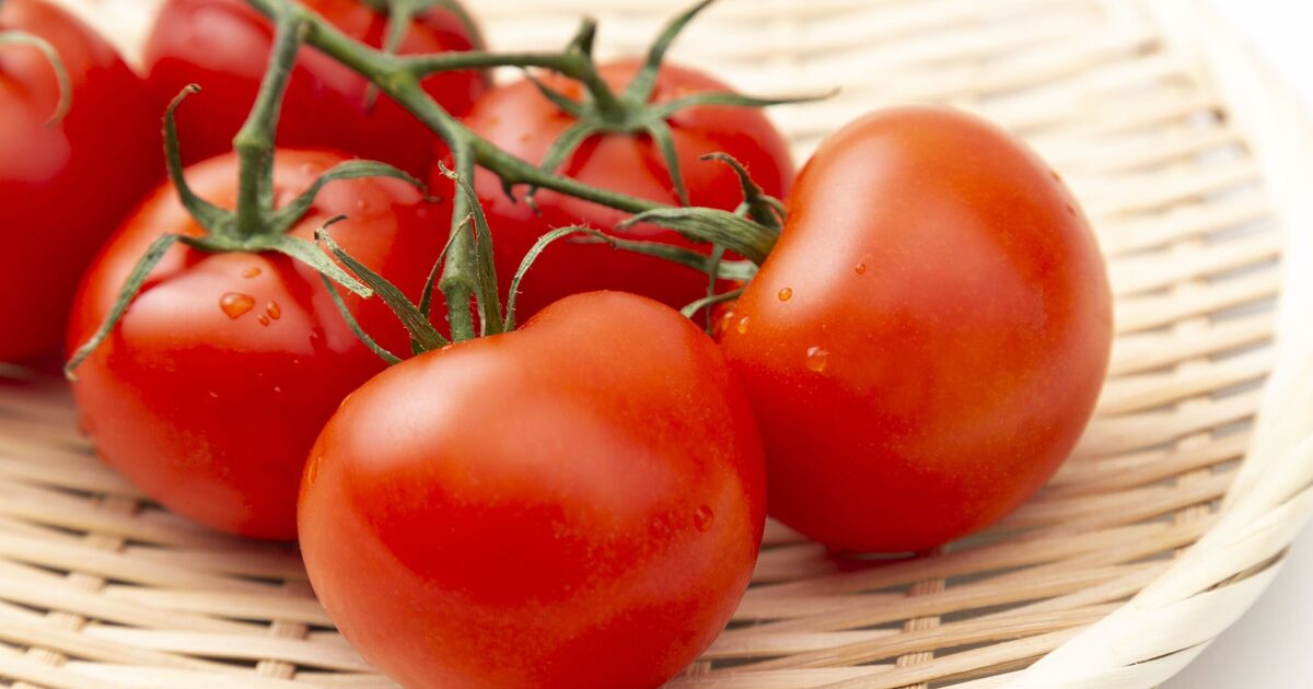 De nouvelles « super tomates » incroyables pourraient enfin guérir un problème de santé de longue date