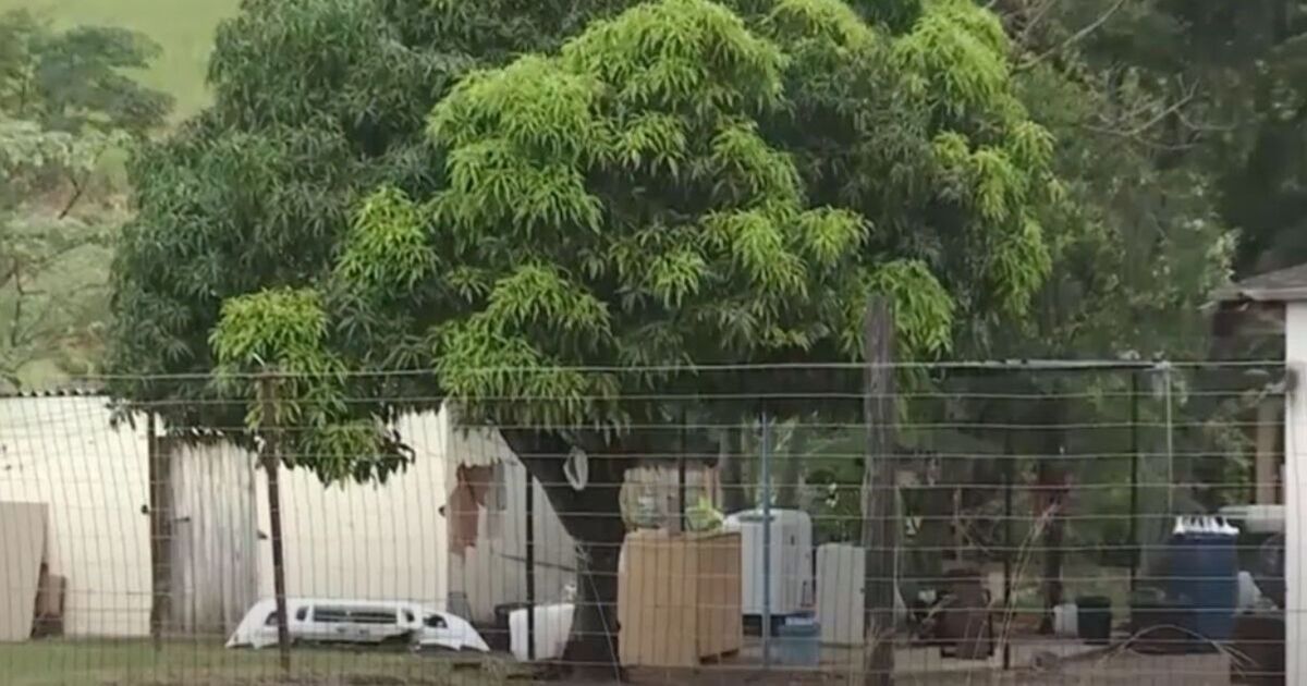 Horreur : une famille de sept personnes âgées de 20 à 80 ans retrouvée morte lors du lancement d'une enquête pour meurtre