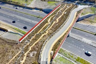 Le nouveau « pont vert » de 3,7 millions de livres sterling permettra aux serpents et aux crapauds de traverser la route à deux voies très fréquentée du Royaume-Uni