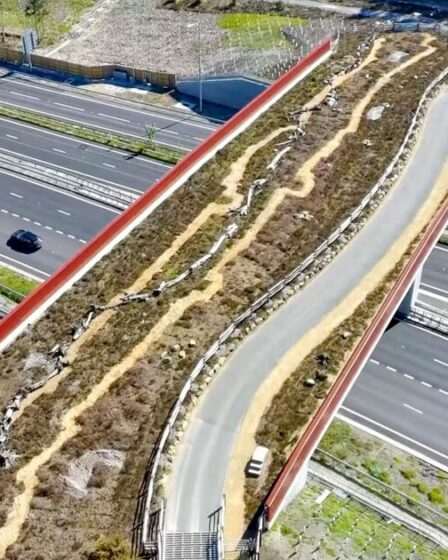 Le nouveau « pont vert » de 3,7 millions de livres sterling permettra aux serpents et aux crapauds de traverser la route à deux voies très fréquentée du Royaume-Uni