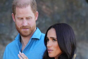 Le prince William « supprimerait les titres de Harry et Meghan en un clin d'œil » après une « crise de sifflement »