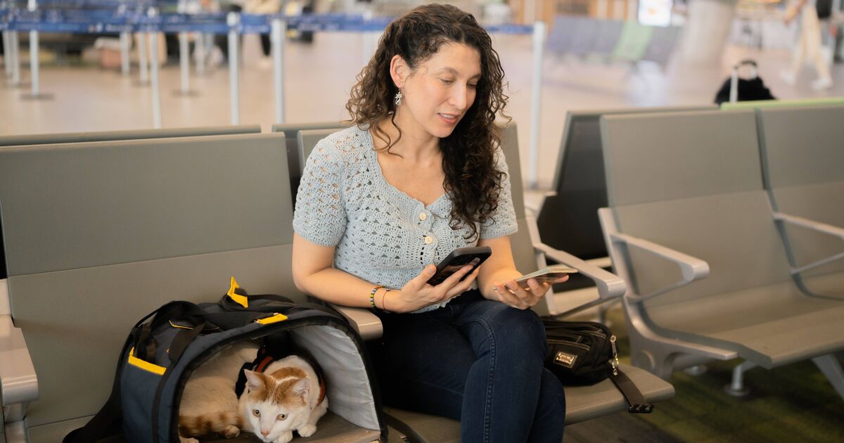 Les Britanniques ont déclaré que « les passeports pourraient ne pas être valides » en vertu des nouvelles règles de voyage en Europe en 2026