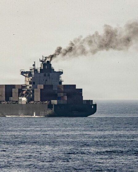 MSC Francesca : les navires Epaminodas et Francesca saisis lors de l'attaque du détroit d'Ormuz en Iran
