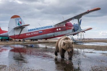 Poutine, désespéré, contraint d'appeler des avions datant des années 1940, dans un geste humiliant