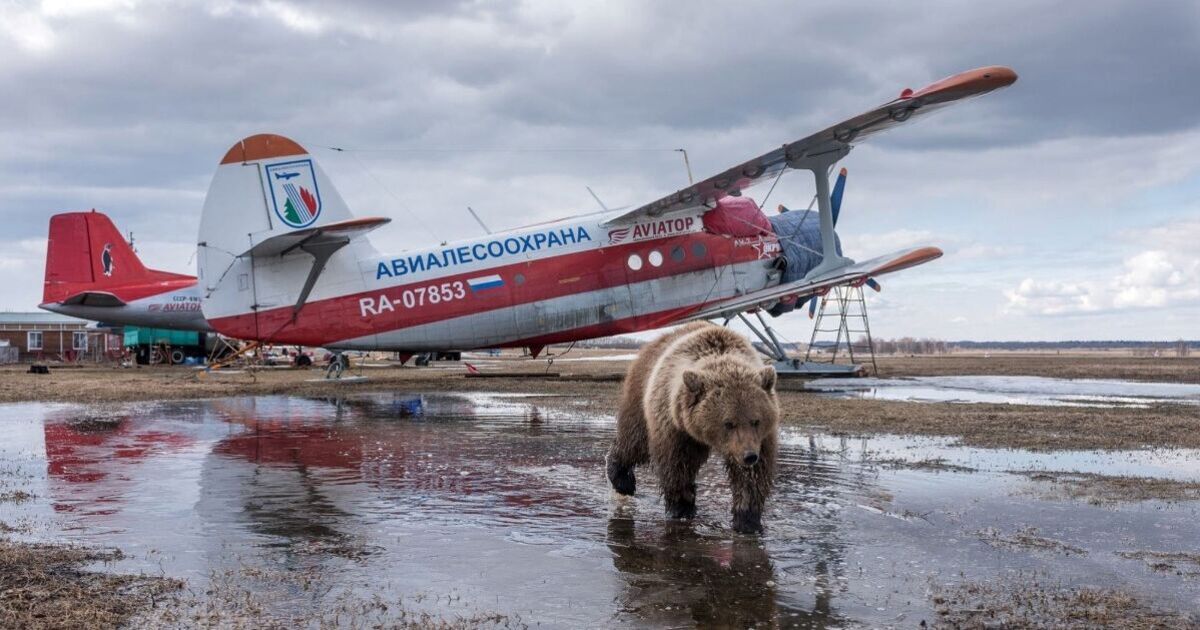 Poutine, désespéré, contraint d'appeler des avions datant des années 1940, dans un geste humiliant