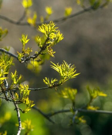 Un Britannique sur cinq passe rarement une journée complète à l'extérieur – découvrez comment vous comparez