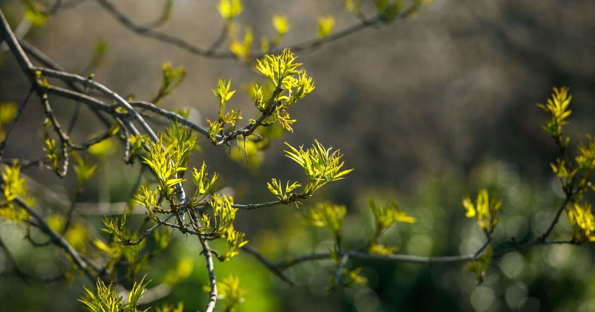 Un Britannique sur cinq passe rarement une journée complète à l'extérieur – découvrez comment vous comparez