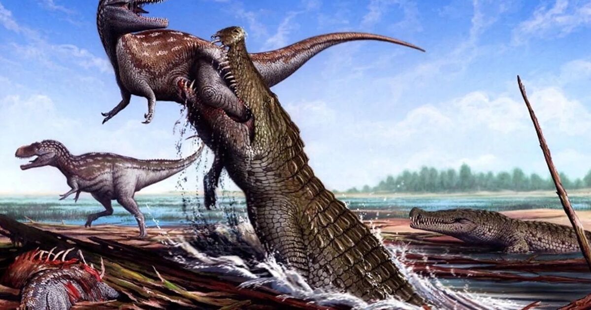 Un « crocodile terroriste » de la taille d'un bus découvert avec une force de morsure supérieure à celle d'un T-Rex