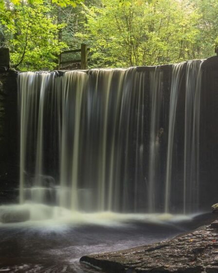 Un magnifique sentier pédestre britannique possède sa propre cascade et est parsemé de jacinthes en avril