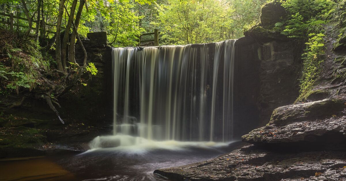 Un magnifique sentier pédestre britannique possède sa propre cascade et est parsemé de jacinthes en avril