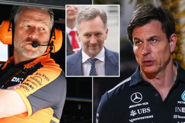 Zak Brown et Toto Wolff ne sont pas d'accord sur le retour de Christian Horner après une réclamation pour « verre brisé »