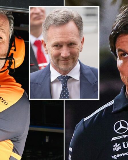 Zak Brown et Toto Wolff ne sont pas d'accord sur le retour de Christian Horner après une réclamation pour « verre brisé »
