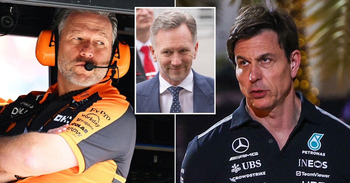Zak Brown et Toto Wolff ne sont pas d'accord sur le retour de Christian Horner après une réclamation pour « verre brisé »