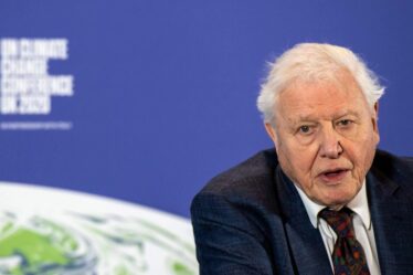 L’alerte climatique 2030 de Sir David Attenborough pourrait être un désastre pour l’humanité
