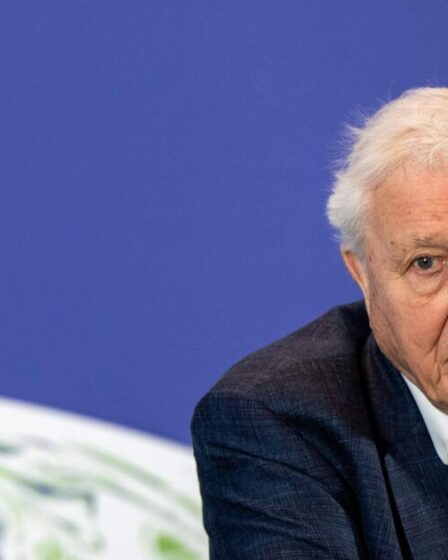 L’alerte climatique 2030 de Sir David Attenborough pourrait être un désastre pour l’humanité
