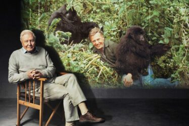 David Attenborough a montré la raison pour laquelle des millions de personnes l'admirent