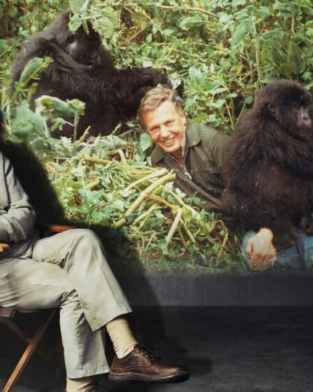 David Attenborough a montré la raison pour laquelle des millions de personnes l'admirent