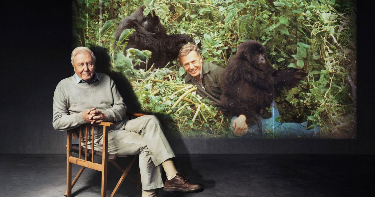 David Attenborough a montré la raison pour laquelle des millions de personnes l'admirent