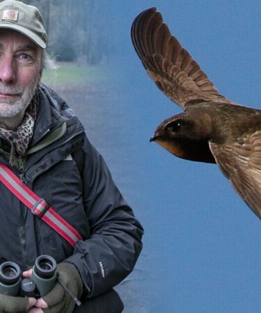 Je suis un expert de la faune sauvage : ce sont les hooligans dont il faut se méfier cet été