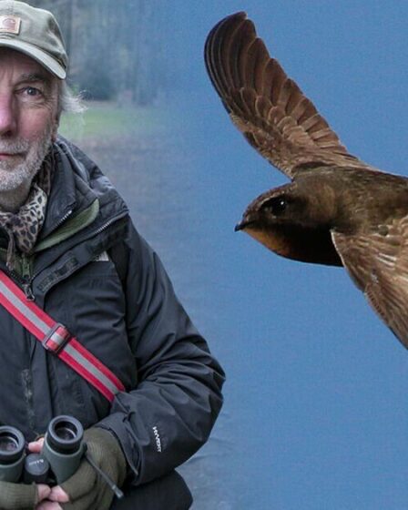 Je suis un expert de la faune sauvage : ce sont les hooligans dont il faut se méfier cet été