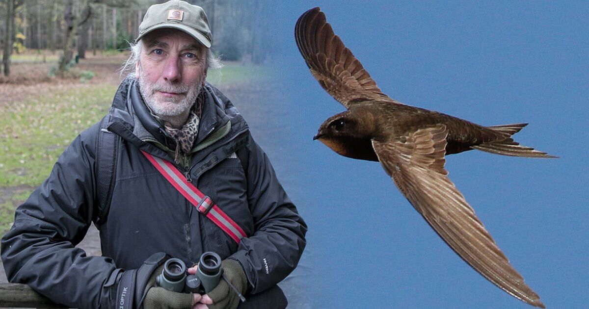 Je suis un expert de la faune sauvage : ce sont les hooligans dont il faut se méfier cet été