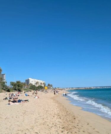 Holiday Island prend des mesures drastiques pour empêcher les touristes d'expulser les habitants