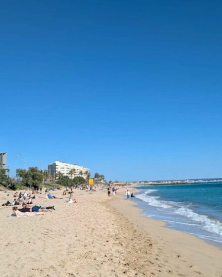 Holiday Island prend des mesures drastiques pour empêcher les touristes d'expulser les habitants